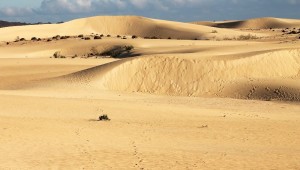 fuerteventura corralejo dunas